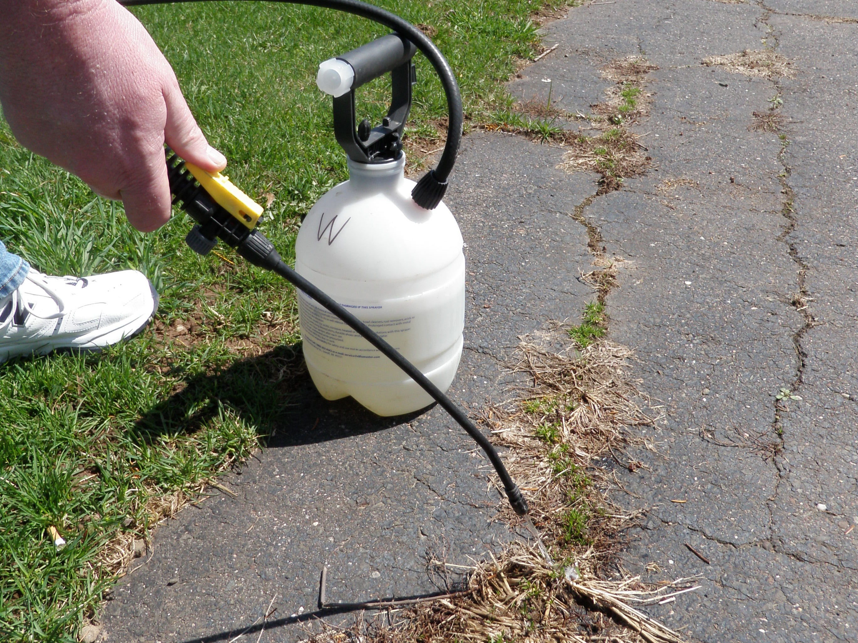 Killing Weeds on Driveway