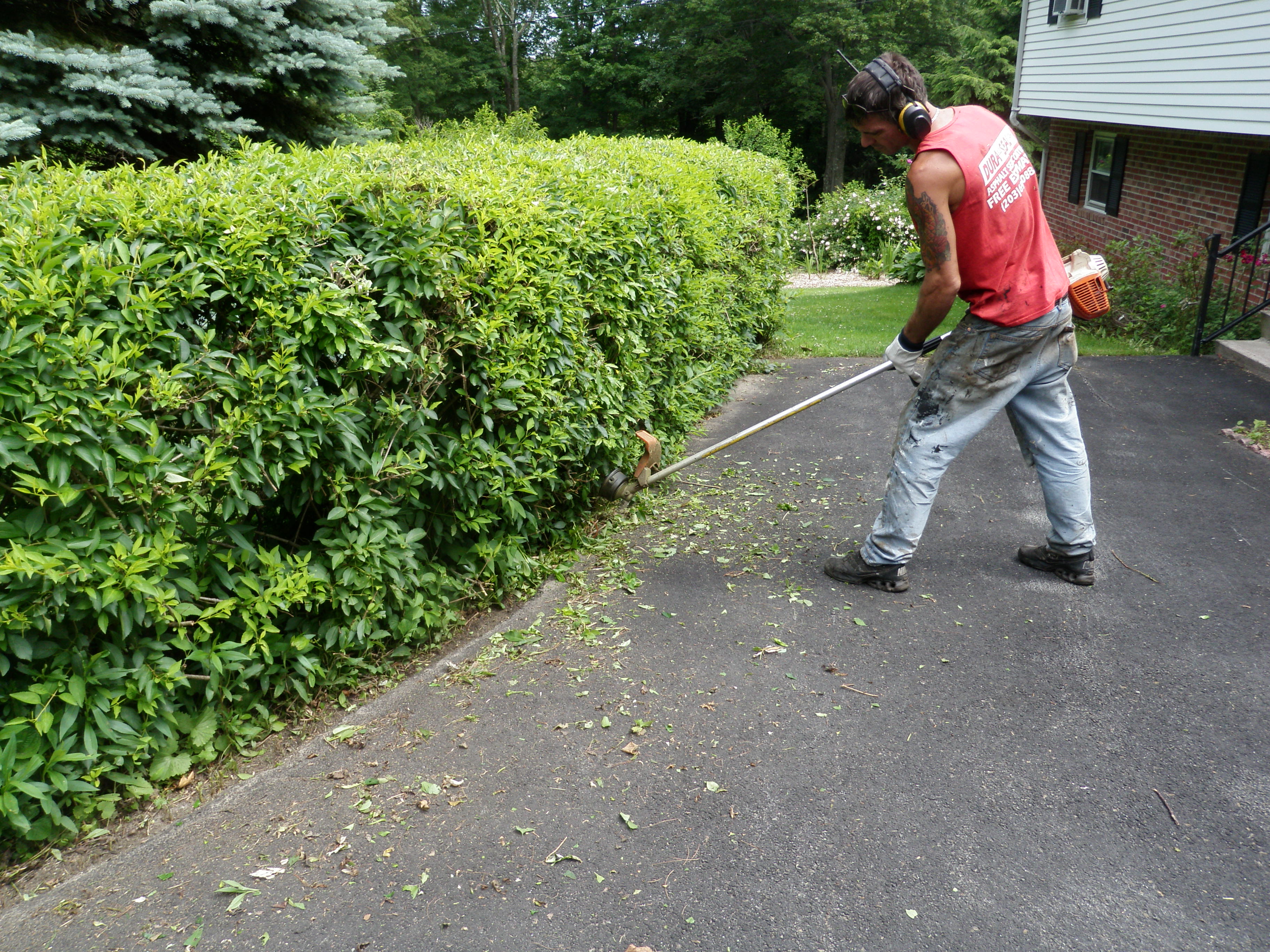 Trimming Bushes Before Sealing Driveway